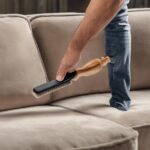 suede couch care guide
