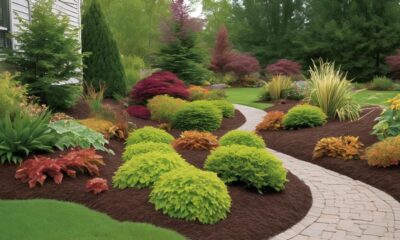 top mulch for gardens