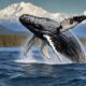 alaska cruise wildlife enthusiasts