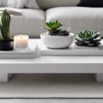 simplistic coffee table decor