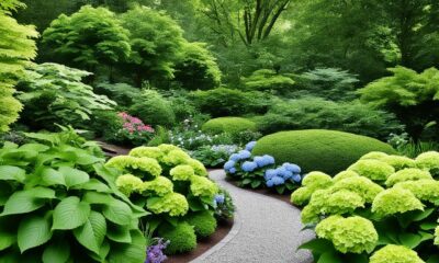 best place to plant hydrangeas