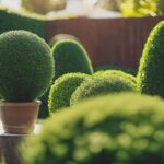artificial outdoor topiary plants