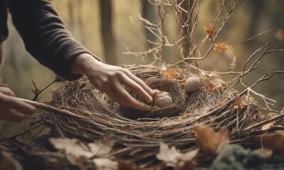 build a bird nest