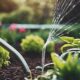 efficient watering with drip