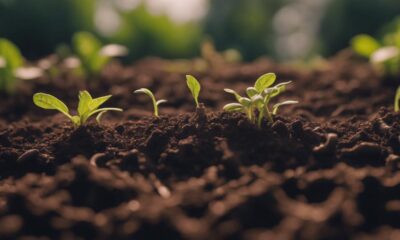 loam ideal soil for gardening