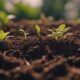 loam ideal soil for gardening