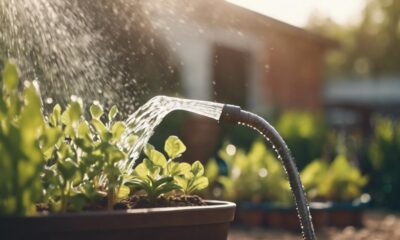 optimal watering methods guide