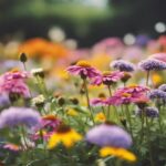 perennial flowers for year round