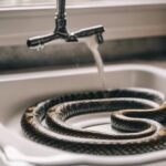 sink snakes for drain