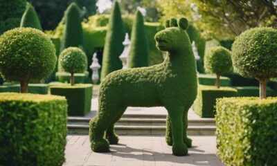 topiary decor ideas home