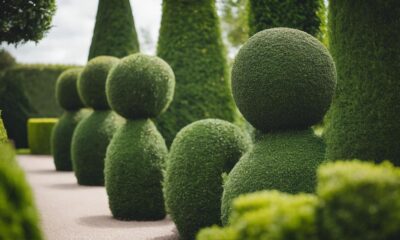 topiary design inspiration guide