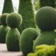 topiary design inspiration guide