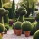 topiary ideas for home