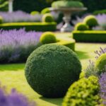 topiary plant selection guide