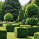 topiary tree selection guide