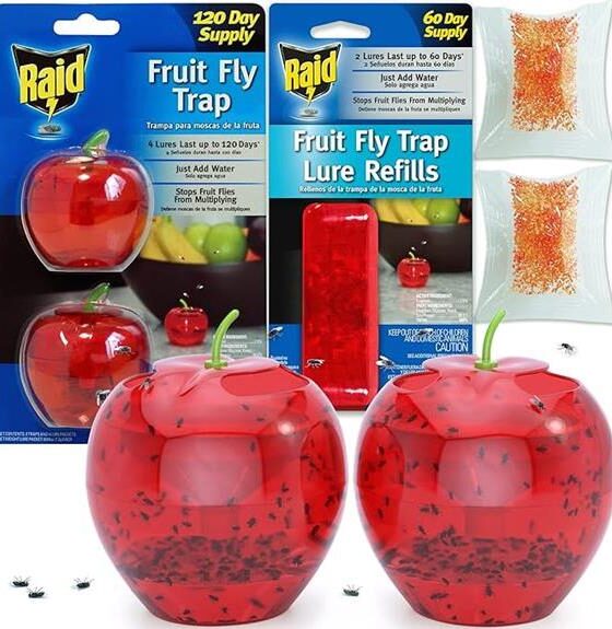 effective fruit fly solution