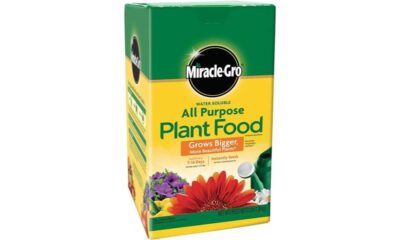 nutrient rich plant food review