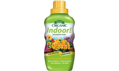 organic indoor plant food