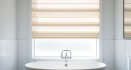 bathroom window blinds options