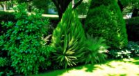 best evergreen shade plants