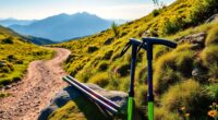 hiking poles for beginners