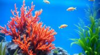 top fish tanks 2025