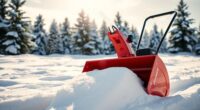 top snowblowers for 2025