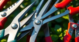best pruner shears 2025