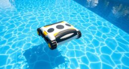 affordable pool cleaner picks