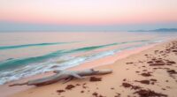 sea inspired color scheme