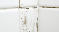 bathroom mold removal tips