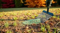 overseed lawn in fall