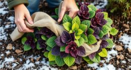 prepare perennials for winter
