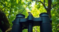 top bird watching binoculars