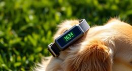 top gps dog collars
