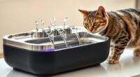 top premium cat fountains
