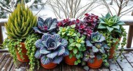 winter container garden ideas