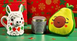 top 50 white elephant gifts