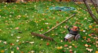 avoid fall lawn care mistakes