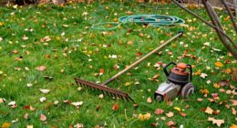 avoid fall lawn care mistakes