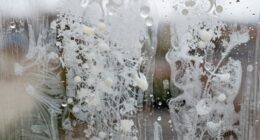 detecting and preventing water damage