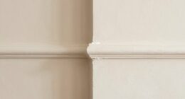 incorrect trim color choices