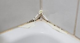 poor adhesion causes failure