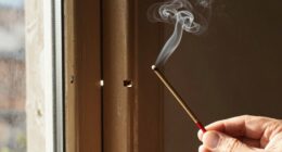 seal doors and windows