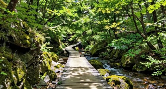 silent travel strategies