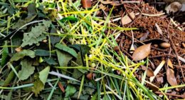 simple brown green composting