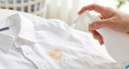 simple stain removal process