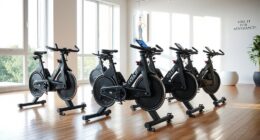 top indoor cycling bikes