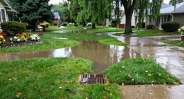 yard flooding drainage diagnosis