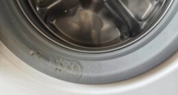 clean washer door seal